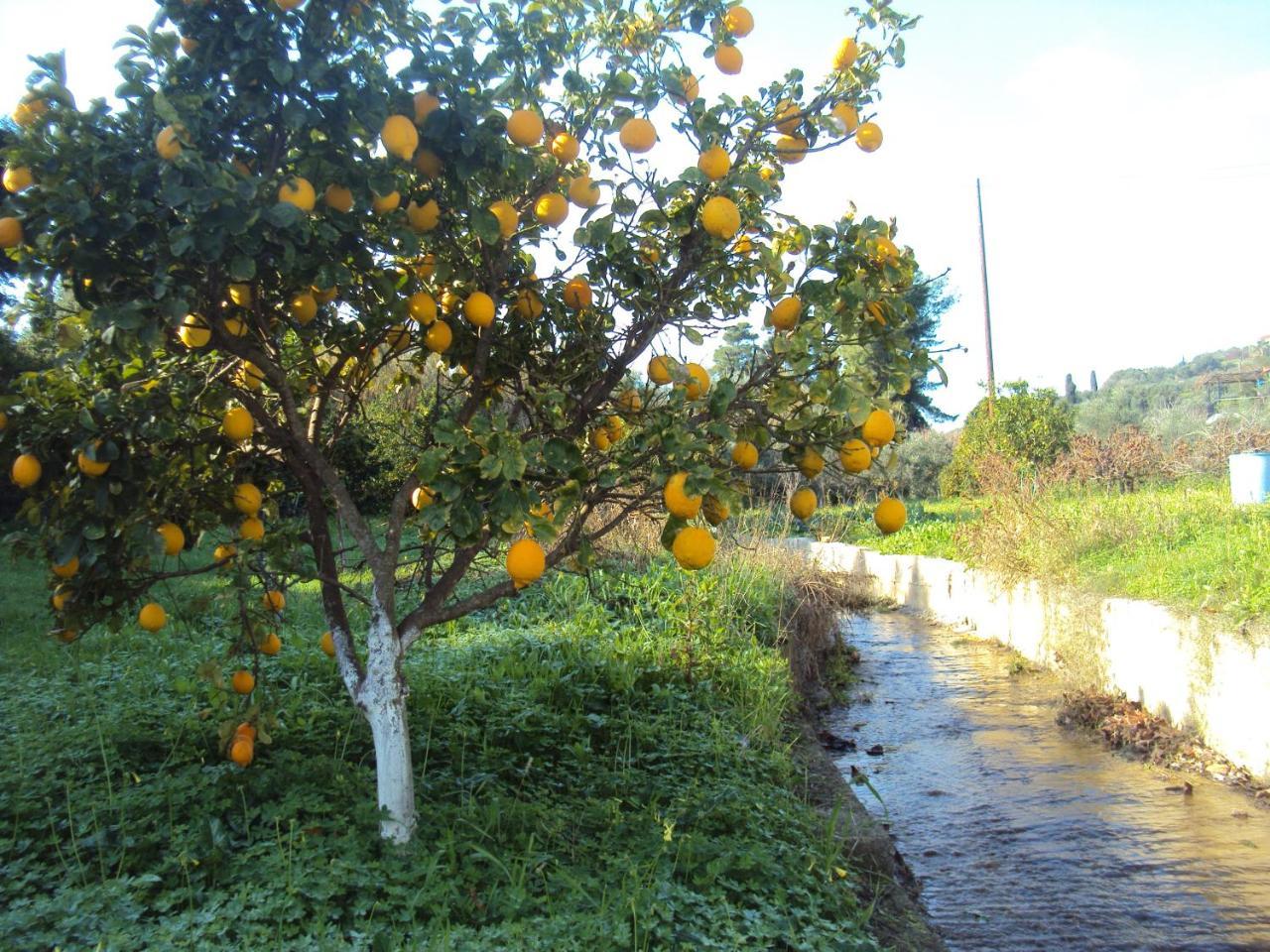 Villa Nostos Koróni Exterior foto